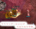 サラマンダー：タヌキうまい