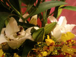 CA3C0005.jpg