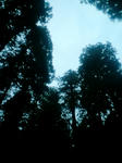 CA3C0046.JPG