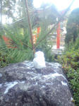 CA3C0017.JPG