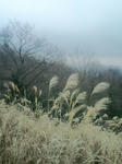 CA3C0006.JPG