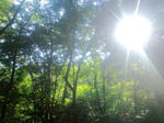 CA3C0091.JPG