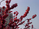 DSC00126.JPG