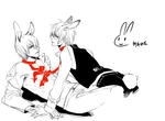 DD and szu