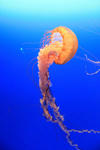 IMG_0996.jpg