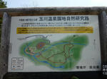 tamagawa_08.JPG