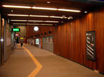 IMGP1572.jpg