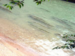 IMGP1329.jpg