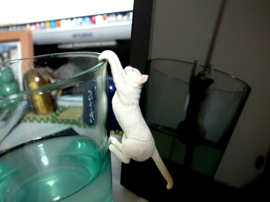 コップの縁にぶら下がる猫 興味深々