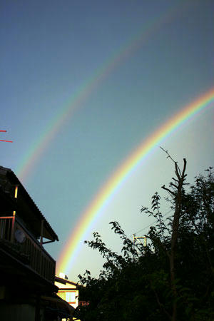 reinbow