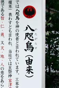 annnai