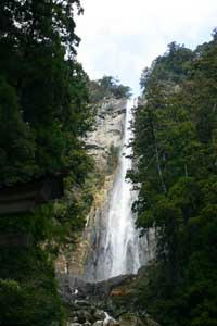 nachi