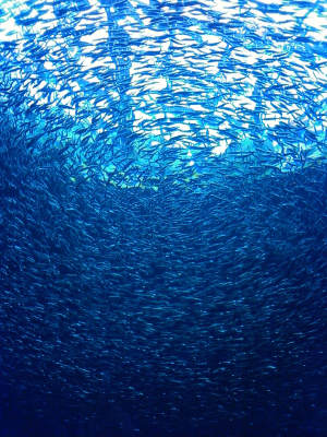 水族館
