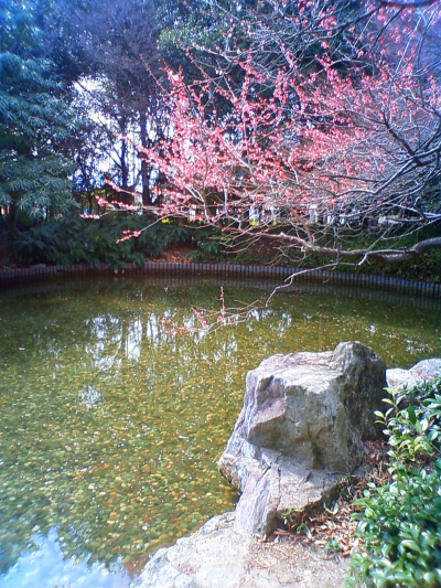 美術館の外で。