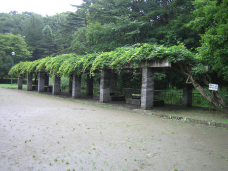 旭ヶ丘にて。