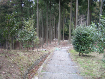 大亀山森林公園