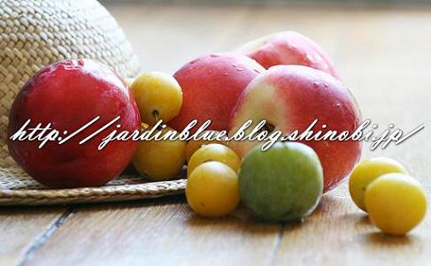 フランス美的生活通信田舎・くだもの