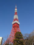 DSC08447.jpg