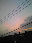 090805.jpg