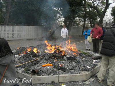0115a.jpg