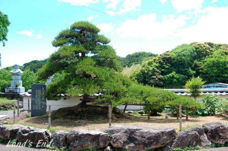 0518d.jpg