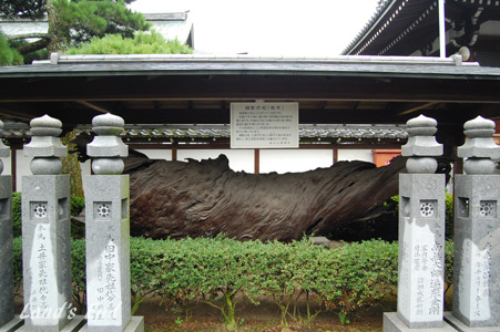 1005d.jpg