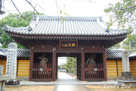 1006a.jpg