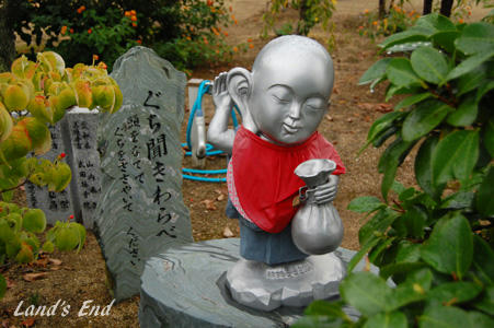 1006b.jpg
