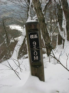 標高９５０ｍ