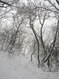 もうすぐ山頂