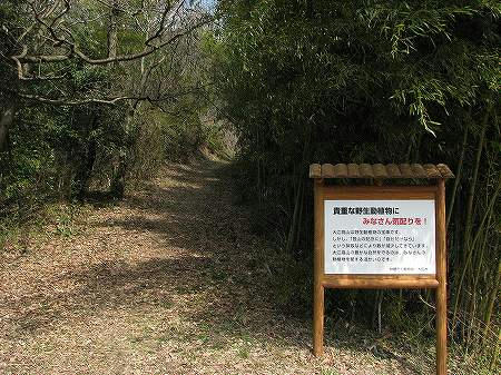 山田側登山道