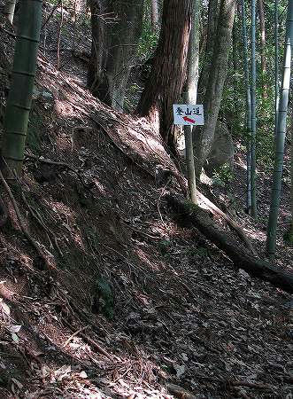 登山道