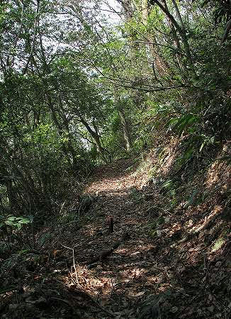 登山道