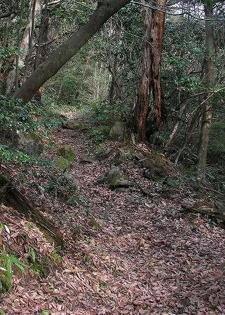 登山道