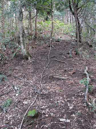 登山道