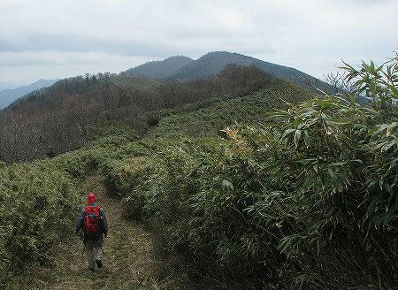 中央奥が後山