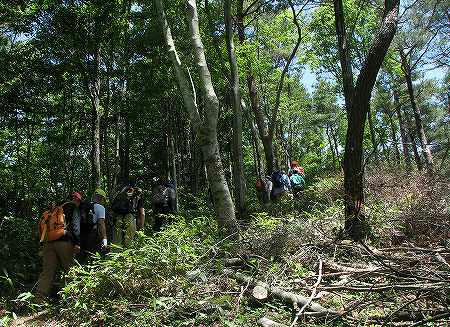 山頂に向けて最後の登り