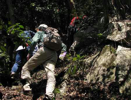 飯谷コース登山道