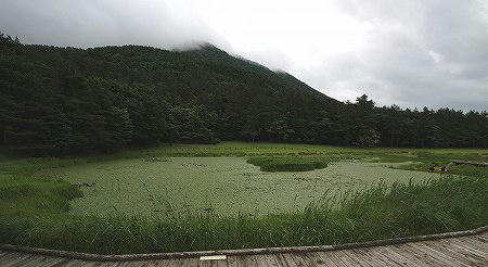 姫逃池