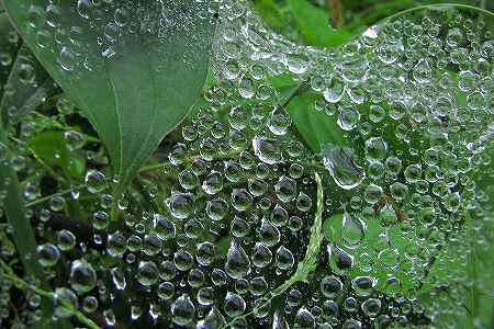 雨滴