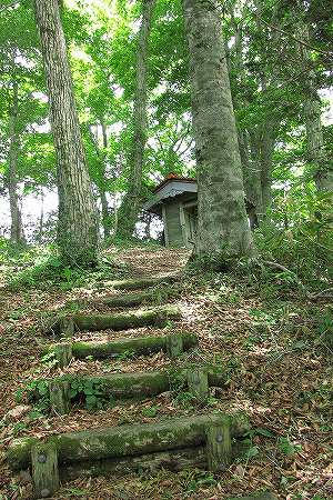 山頂はもうすぐ