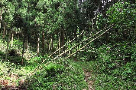 登山口