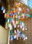 七夕2007