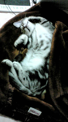 20090308.jpg