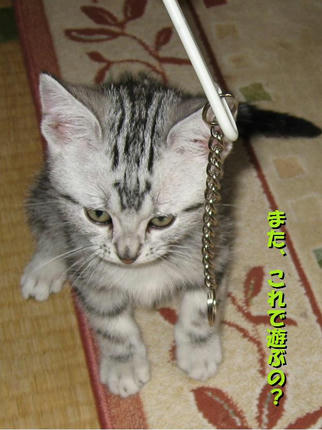 20090320-1.jpg