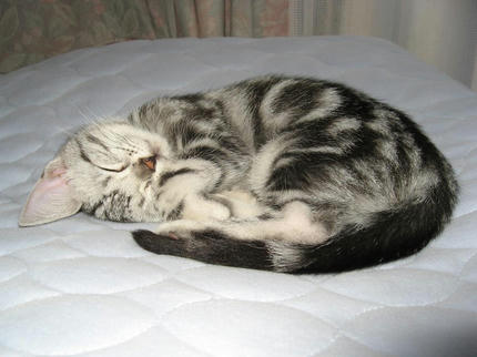 20090328-4.jpg