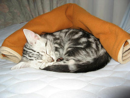20090328-5.jpg