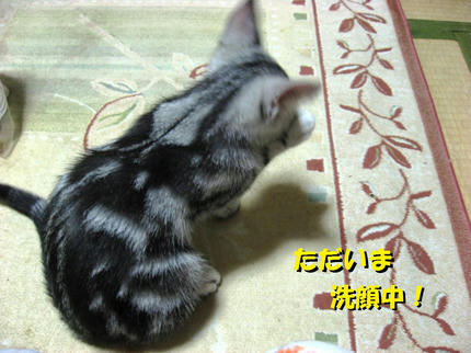 20090401-1.jpg