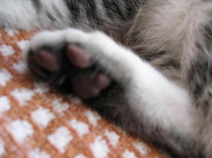20090405-3.jpg