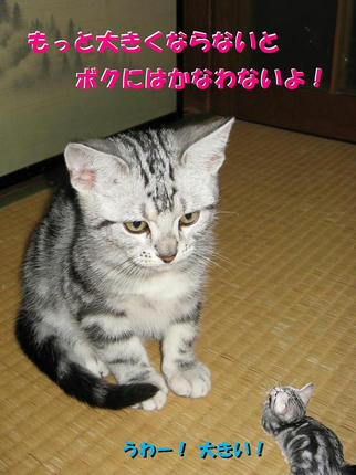 20090408-2.jpg